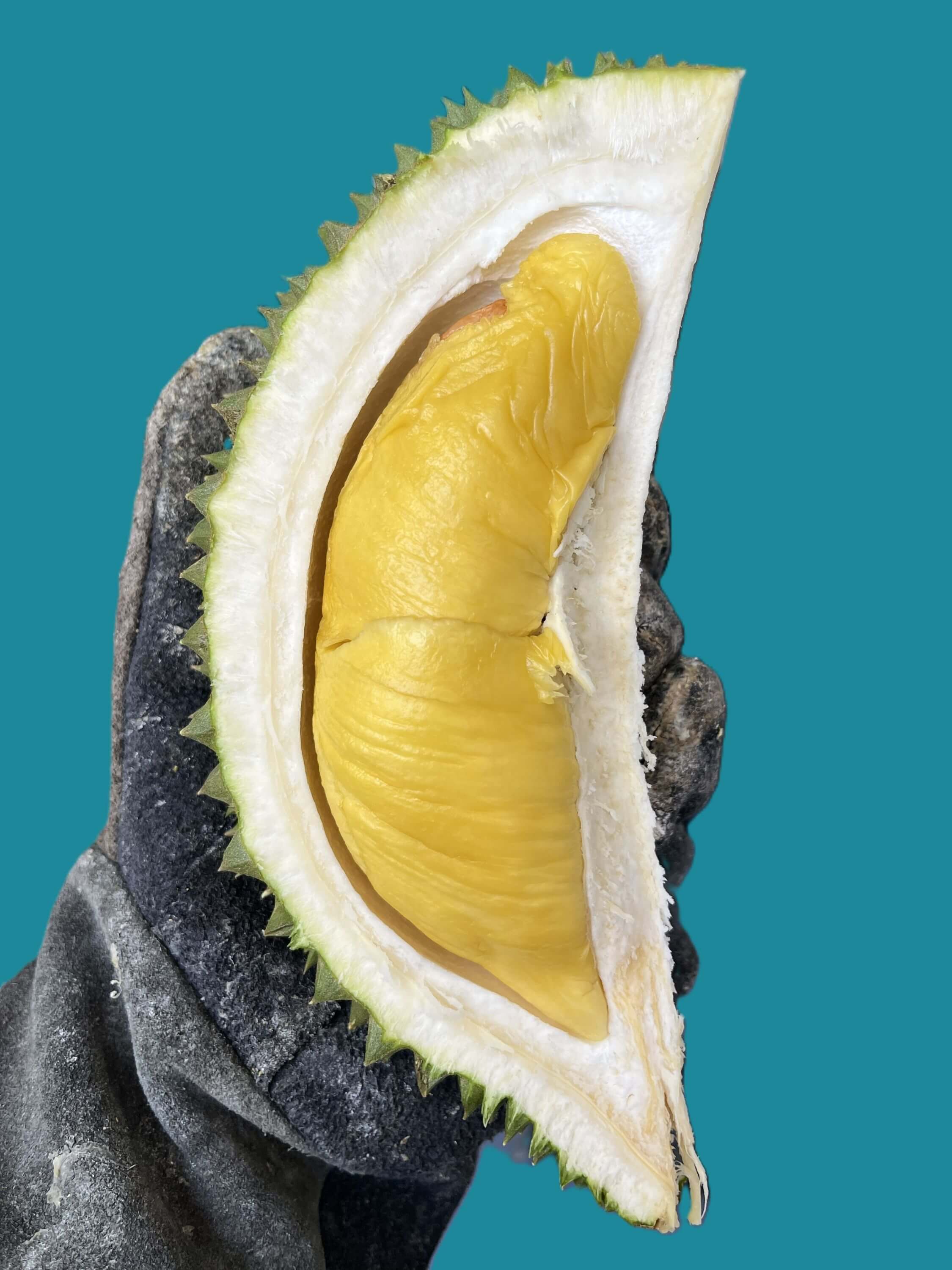 Sầu riêng cơm vàng